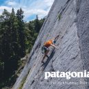 patagonia (パタゴニア) /2026年春夏｜定番人気＆新作入荷情報