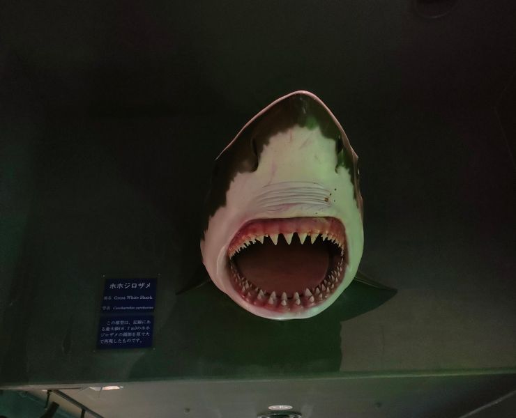 父に感謝を届ける。